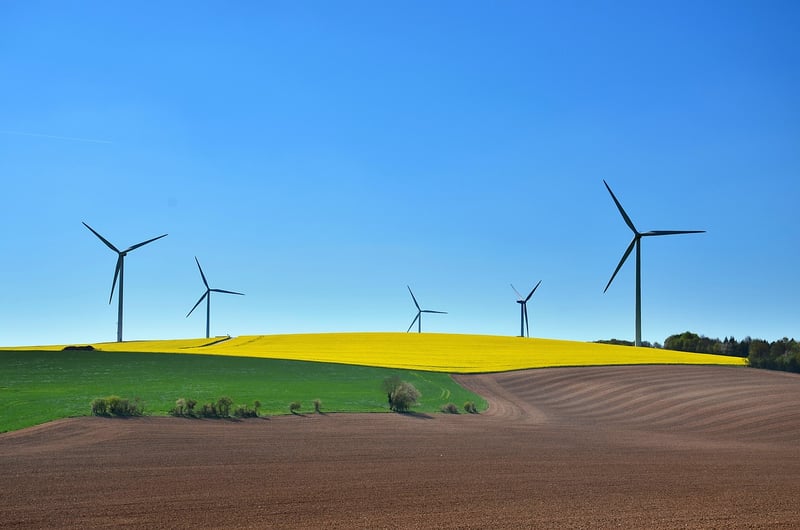 Sustainable Lifestyle Tips